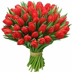 red tulips