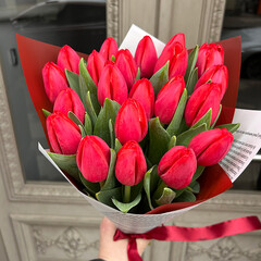 Red tulips