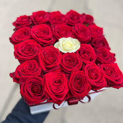 Red roses in a box