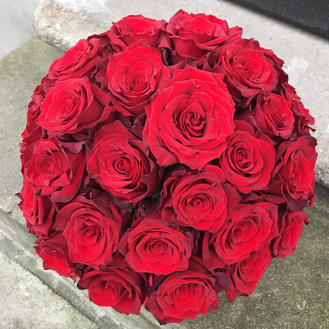 Red roses in a round box