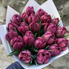 Violet Romance - pildīto tulpju pu&scaron;ķis